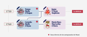 Vista rápida