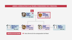 Vista rápida