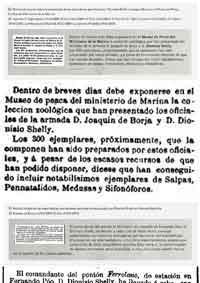 Vista rápida